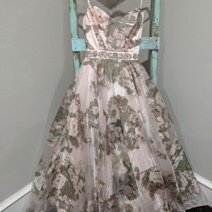 Blush Cinderella Ball gown